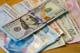 US Dollars and Turkish Lira