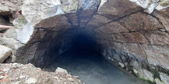 Trabzon'da ortaya çıkarıldı! Türkiye'de bir örneği daha yok