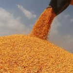 CHP8217li-Omer-Fethi-Gurer-Ciftcilerin-Bankalara-14-Trilyon-Lira-Borcu-Var-featured