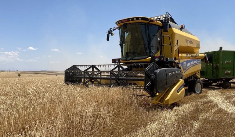 Yagislarin-Etkisiyle-Hububat-Uretiminde-Rekor-Beklentisi-featured