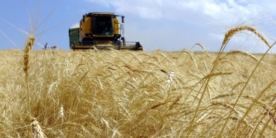 Türkiye tarımsal hasılada rekor kırdı! 83,2 milyar dolarla zirvede